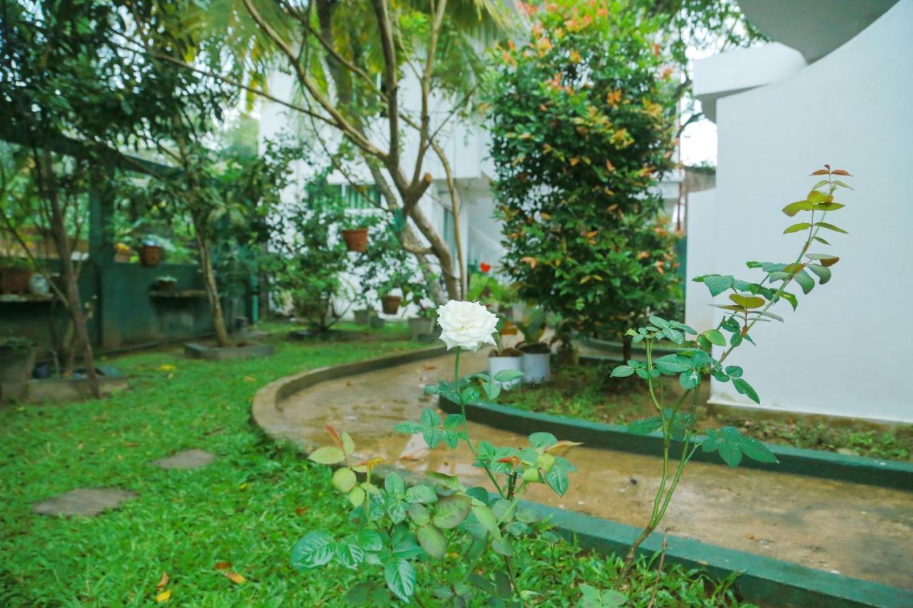 Suwa Arana Resort Mirissa Exterior foto